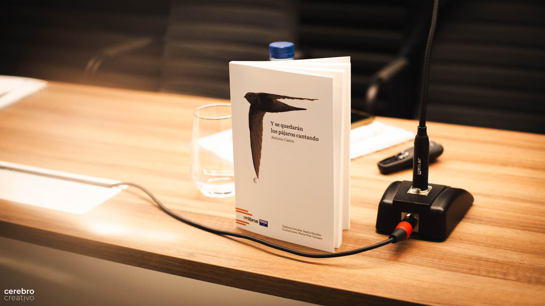 Presentación de «Y se quedarán los pájaros cantando»