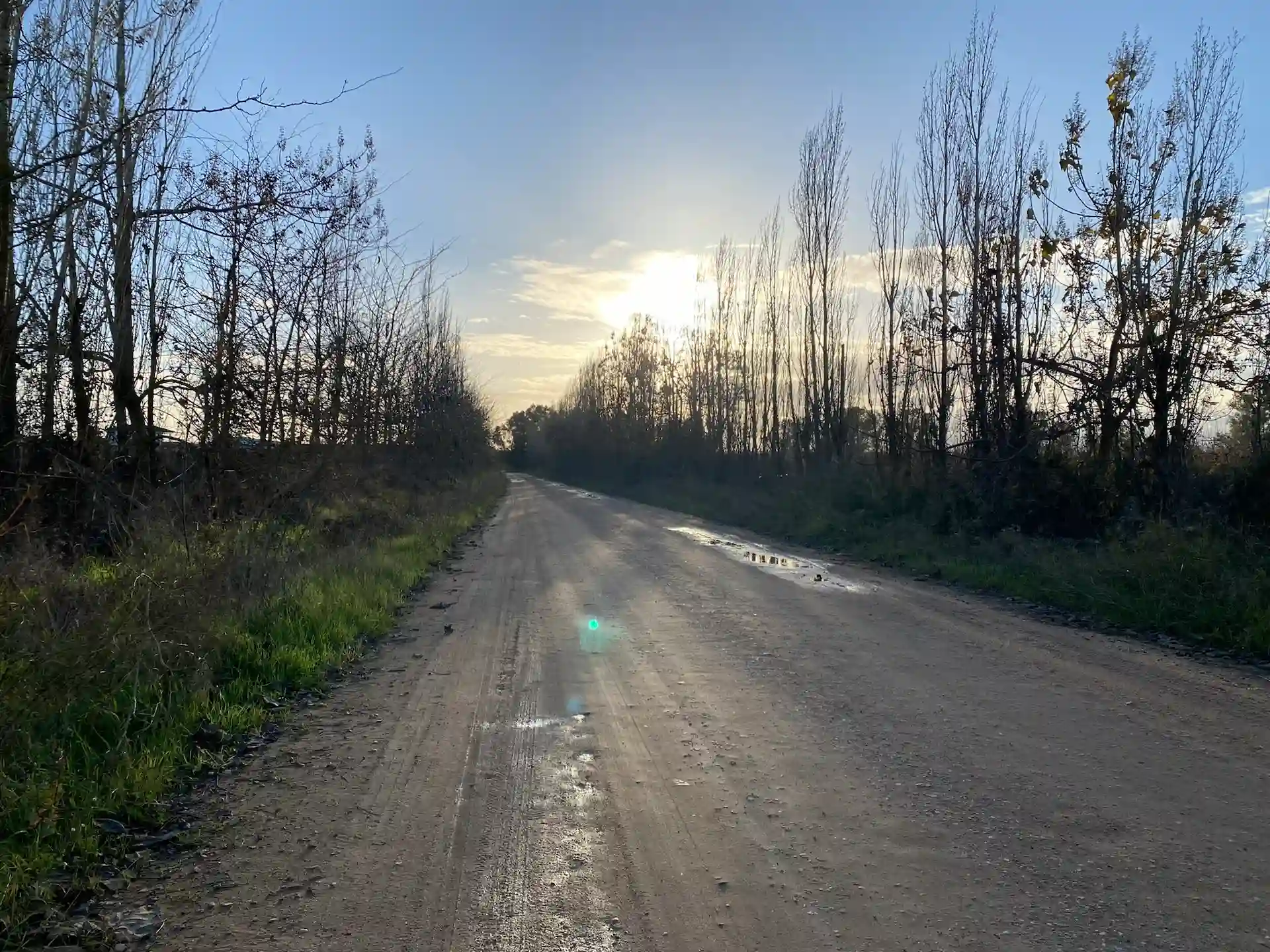 Caminos